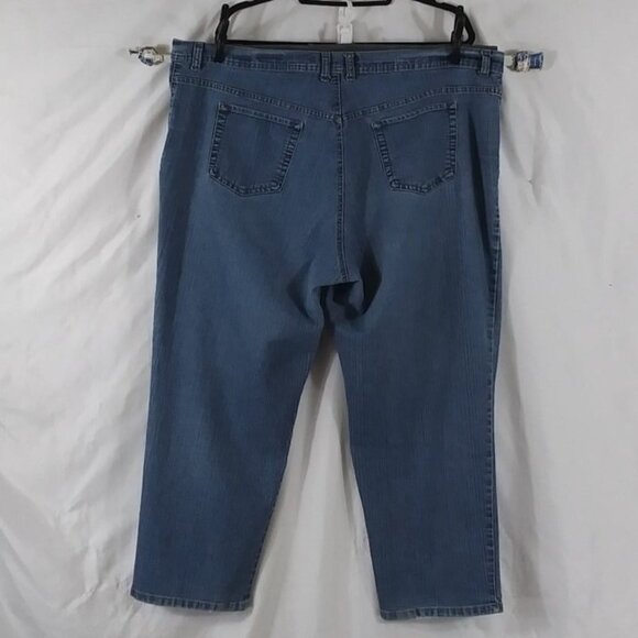 Gloria Vanderbilt Jeans Women's Blue Straight Leg Y2K Plus Size 22W Short - Picture 2 of 8